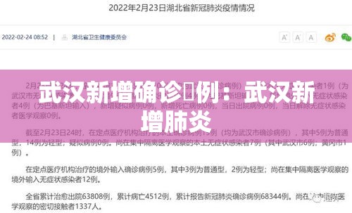 武汉新增确诊無例:武汉新增肺炎 武汉新增确诊無例:武汉新增肺炎