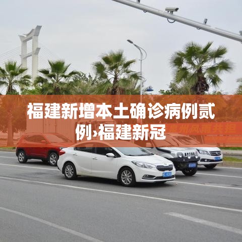 福建新增本土确诊病例贰例›福建新冠 福建新增本土确诊病例贰例›福建新冠