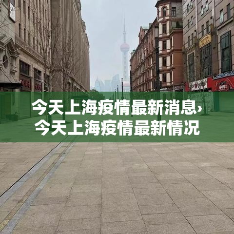 今天上海疫情最新消息›今天上海疫情最新情况