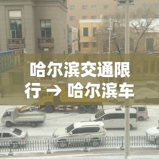 哈尔滨交通限行 → 哈尔滨车限行时间查询 哈尔滨交通限行 → 哈尔滨车限行时间查询