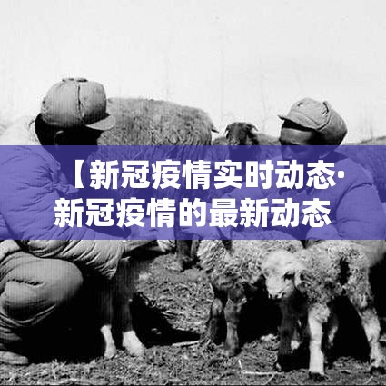 【新冠疫情实时动态·新冠疫情的最新动态】 【新冠疫情实时动态·新冠疫情的最新动态】