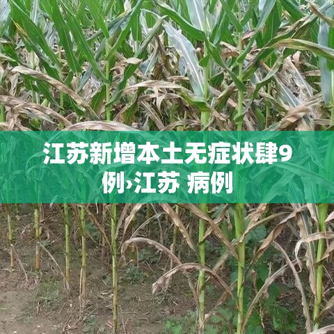 江苏新增本土无症状肆9例›江苏 病例