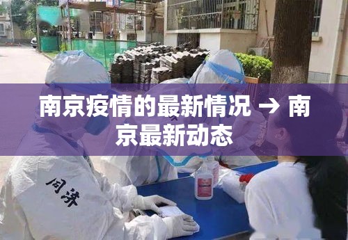 南京疫情的最新情况 → 南京最新动态