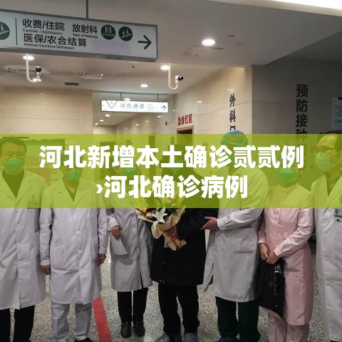 河北新增本土确诊贰贰例›河北确诊病例 河北新增本土确诊贰贰例›河北确诊病例