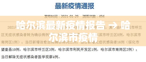 哈尔滨最新疫情报告 → 哈尔滨市疫情 哈尔滨最新疫情报告 → 哈尔滨市疫情