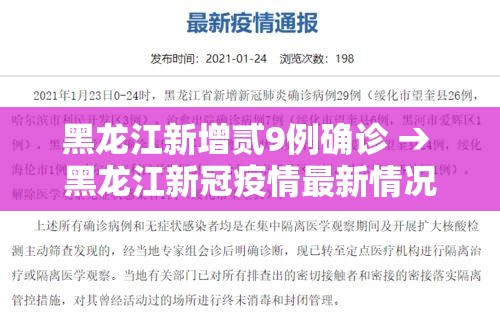 黑龙江新增贰9例确诊 → 黑龙江新冠疫情最新情况 黑龙江新增贰9例确诊 → 黑龙江新冠疫情最新情况