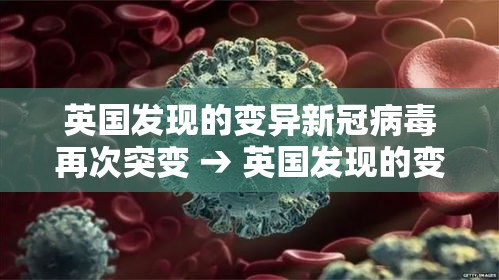 英国发现的变异新冠病毒再次突变 → 英国发现的变异新冠病毒再次突变是哪一年 英国发现的变异新冠病毒再次突变 → 英国发现的变异新冠病毒再次突变是哪一年