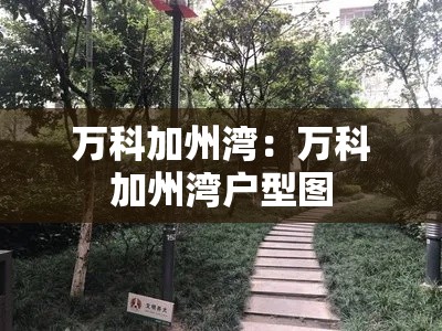 万科加州湾：万科加州湾户型图