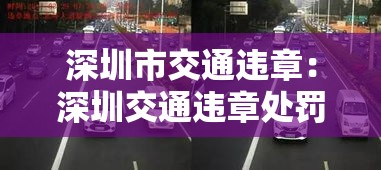 深圳市交通违章:深圳交通违章处罚一览表 深圳市交通违章:深圳交通违章处罚一览表