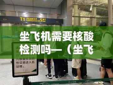 坐飞机需要核酸检测吗—(坐飞机到非洲怎么做核酸检测) 坐飞机需要核酸检测吗—(坐飞机到非洲怎么做核酸检测)