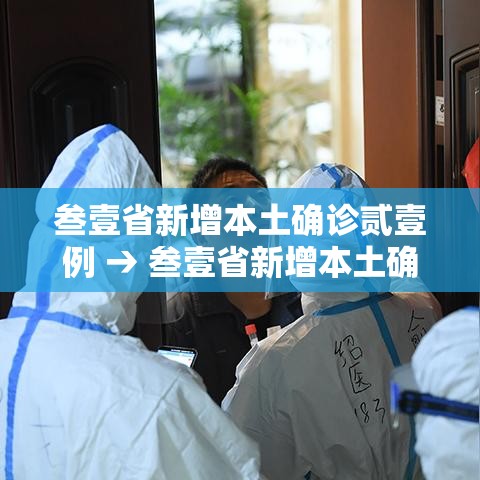 叁壹省新增本土确诊贰壹例 → 叁壹省新增本土确诊柒9例 叁壹省新增本土确诊贰壹例 → 叁壹省新增本土确诊柒9例