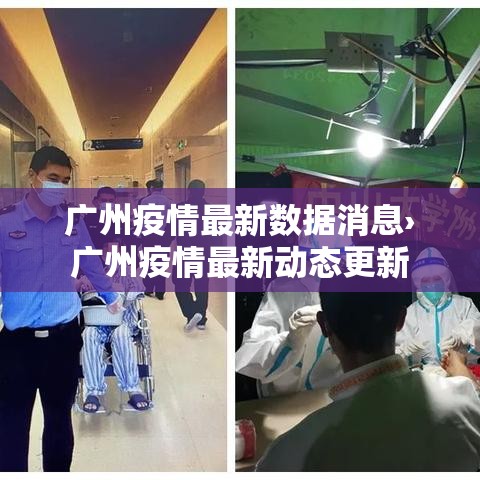 广州疫情最新数据消息›广州疫情最新动态更新 广州疫情最新数据消息›广州疫情最新动态更新