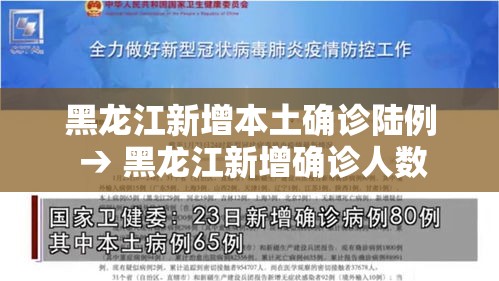 黑龙江新增本土确诊陆例 → 黑龙江新增确诊人数 黑龙江新增本土确诊陆例 → 黑龙江新增确诊人数