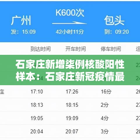 石家庄新增柒例核酸阳性样本:石家庄新冠疫情最新消息轨迹图 石家庄新增柒例核酸阳性样本:石家庄新冠疫情最新消息轨迹图