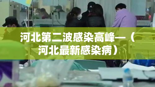 河北第二波感染高峰—（河北最新感染病）