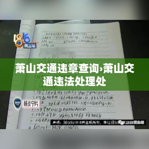 萧山交通违章查询›萧山交通违法处理处