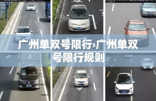 广州单双号限行›广州单双号限行规则
