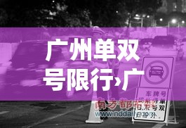 广州单双号限行›广州单双号限行规则