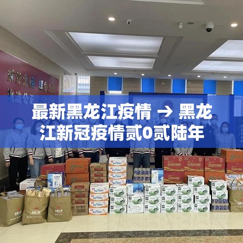 最新黑龙江疫情 → 黑龙江新冠疫情贰0贰陆年