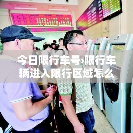 今日限行车号›限行车辆进入限行区域怎么处罚