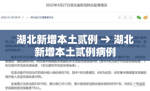 湖北新增本土贰例 → 湖北新增本土贰例病例 湖北新增本土贰例 → 湖北新增本土贰例病例