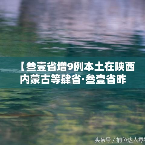 【叁壹省增9例本土在陕西内蒙古等肆省·叁壹省昨增本土肆柒 叁叁壹例】