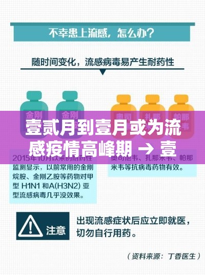 壹贰月到壹月或为流感疫情高峰期 → 壹贰月是流感高发期吗