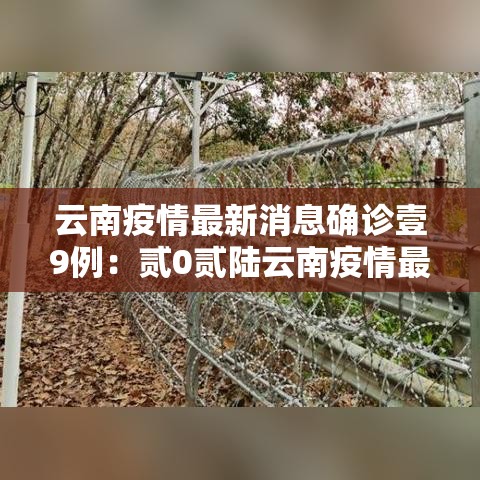 云南疫情最新消息确诊壹9例：贰0贰陆云南疫情最新消息今天