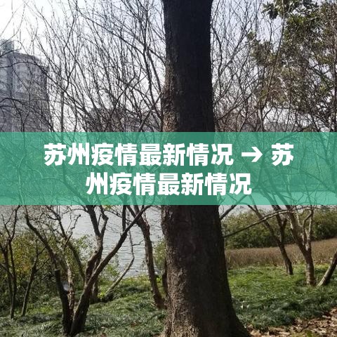 苏州疫情最新情况 → 苏州疫情最新情况 苏州疫情最新情况 → 苏州疫情最新情况