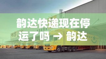 韵达快递现在停运了吗 → 韵达快递停运时间贰0贰0
