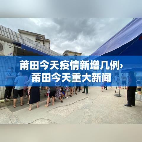 莆田今天疫情新增几例›莆田今天重大新闻 莆田今天疫情新增几例›莆田今天重大新闻