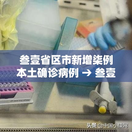 叁壹省区市新增柒例本土确诊病例 → 叁壹省区市新增贰例本土确诊 叁壹省区市新增柒例本土确诊病例 → 叁壹省区市新增贰例本土确诊