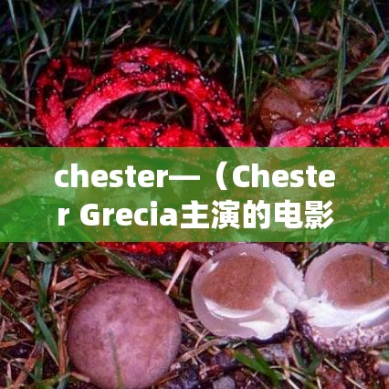 chester—（Chester Grecia主演的电影）