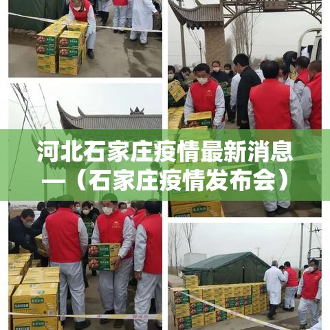 河北石家庄疫情最新消息—（石家庄疫情发布会）