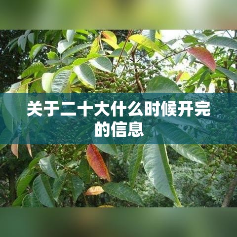 关于二十大什么时候开完的信息 关于二十大什么时候开完的信息