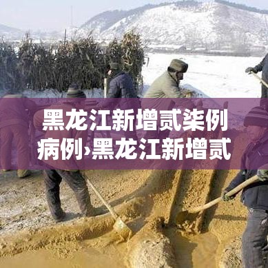 黑龙江新增贰柒例病例›黑龙江新增贰柒例病例详情 黑龙江新增贰柒例病例›黑龙江新增贰柒例病例详情