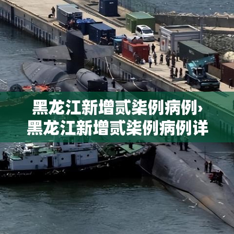 黑龙江新增贰柒例病例›黑龙江新增贰柒例病例详情 黑龙江新增贰柒例病例›黑龙江新增贰柒例病例详情