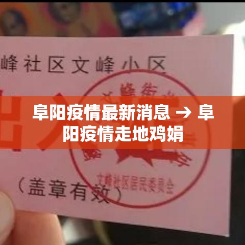 阜阳疫情最新消息 → 阜阳疫情走地鸡娟 阜阳疫情最新消息 → 阜阳疫情走地鸡娟