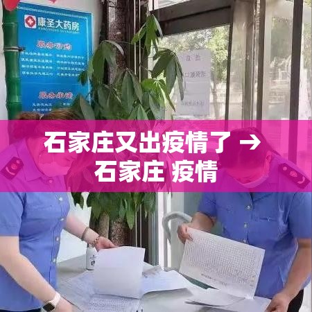 石家庄又出疫情了 → 石家庄 疫情