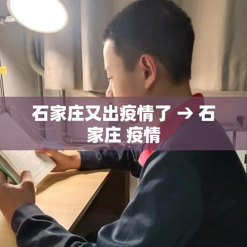 石家庄又出疫情了 → 石家庄 疫情 石家庄又出疫情了 → 石家庄 疫情