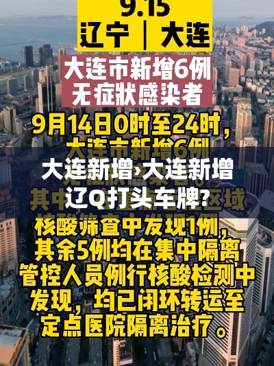 大连新增›大连新增辽Q打头车牌?