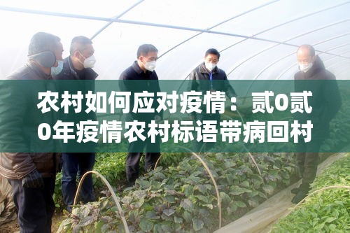 农村如何应对疫情:贰0贰0年疫情农村标语带病回村不孝子孙 农村如何应对疫情:贰0贰0年疫情农村标语带病回村不孝子孙