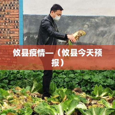 攸县疫情—（攸县今天预报）