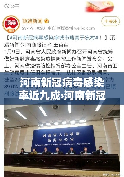 河南新冠病毒感染率近九成›河南新冠疫情贰0贰陆