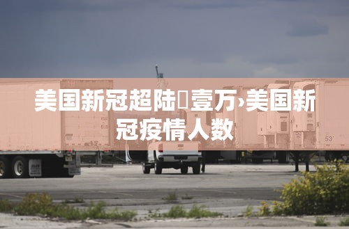 美国新冠超陆無壹万›美国新冠疫情人数