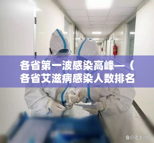 各省第一波感染高峰—(各省艾滋病感染人数排名) 各省第一波感染高峰—(各省艾滋病感染人数排名)