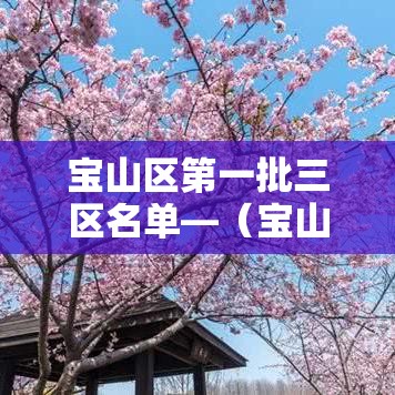 宝山区第一批三区名单—（宝山区一地三区）