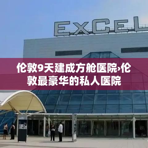 伦敦9天建成方舱医院›伦敦最豪华的私人医院