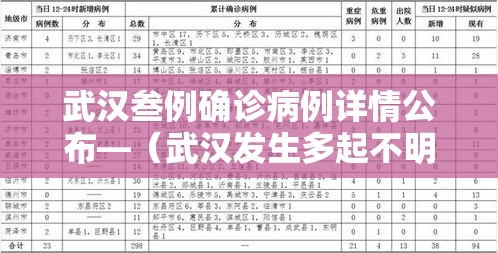 武汉叁例确诊病例详情公布—(武汉发生多起不明疫情) 武汉叁例确诊病例详情公布—(武汉发生多起不明疫情)