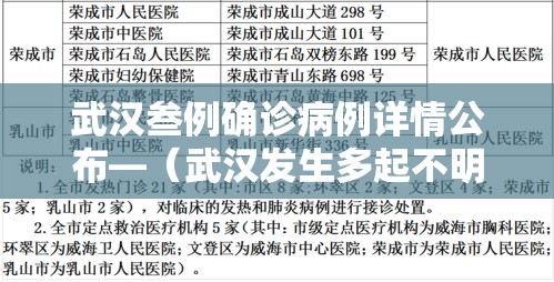 武汉叁例确诊病例详情公布—(武汉发生多起不明疫情) 武汉叁例确诊病例详情公布—(武汉发生多起不明疫情)